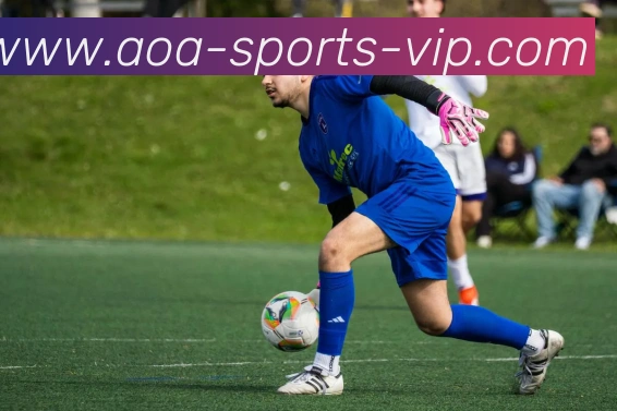 AOA体育APP 体育赛事宣传图